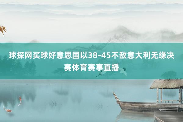 球探網買球好意思國以38-45不敵意大利無緣決賽體育賽事直播