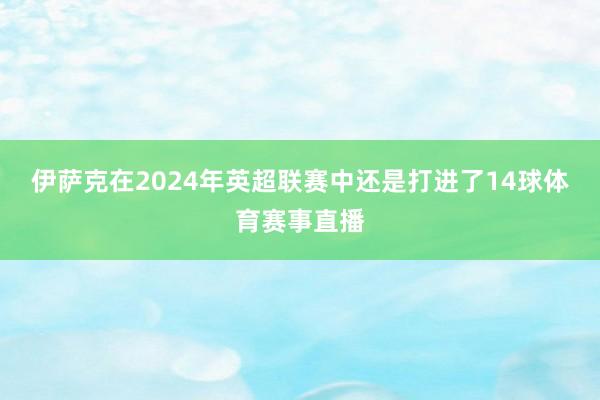 伊薩克在2024年英超聯賽中還是打進了14球體育賽事直播