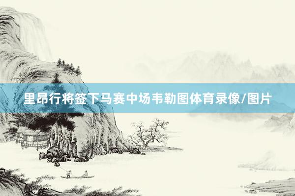 里昂行將簽下馬賽中場韋勒圖體育錄像/圖片