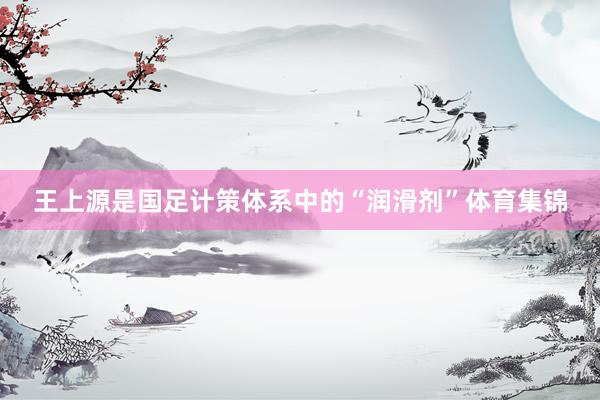 王上源是國(guó)足計(jì)策體系中的“潤(rùn)滑劑”體育集錦