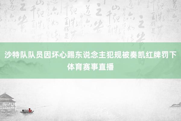 沙特隊隊員因壞心踢東說念主犯規被奏凱紅牌罰下體育賽事直播