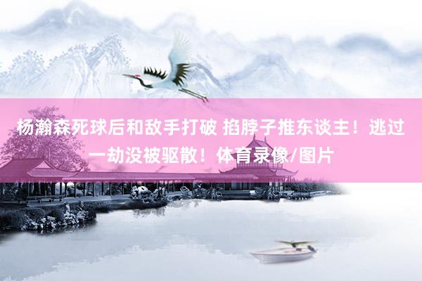 楊瀚森死球后和敵手打破 掐脖子推東談主！逃過一劫沒被驅(qū)散！體育錄像/圖片