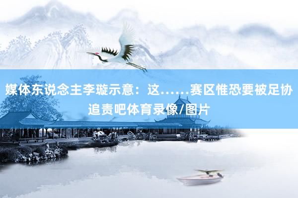 媒體東說念主李璇示意：這……賽區惟恐要被足協追責吧體育錄像/圖片
