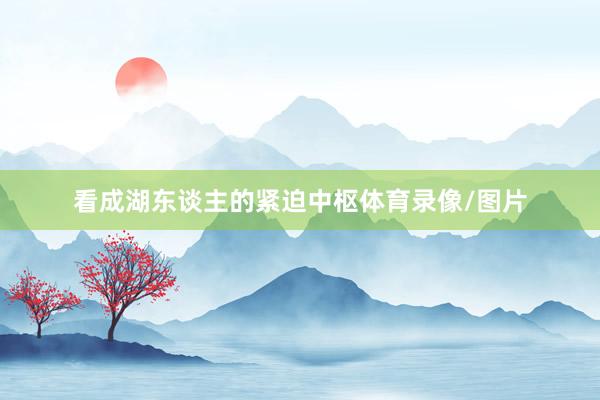 看成湖東談主的緊迫中樞體育錄像/圖片