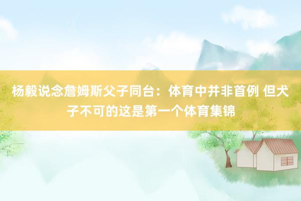 楊毅說念詹姆斯父子同臺：體育中并非首例 但犬子不可的這是第一個體育集錦