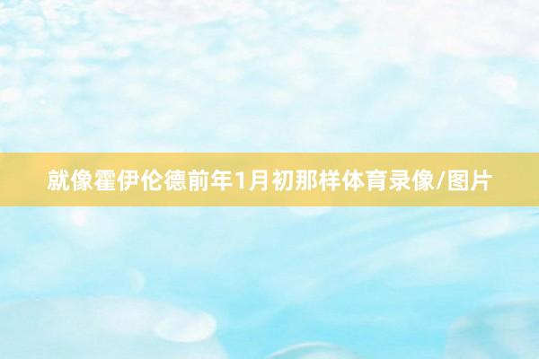 就像霍伊倫德前年1月初那樣體育錄像/圖片