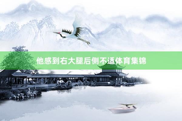 他感到右大腿后側不適體育集錦